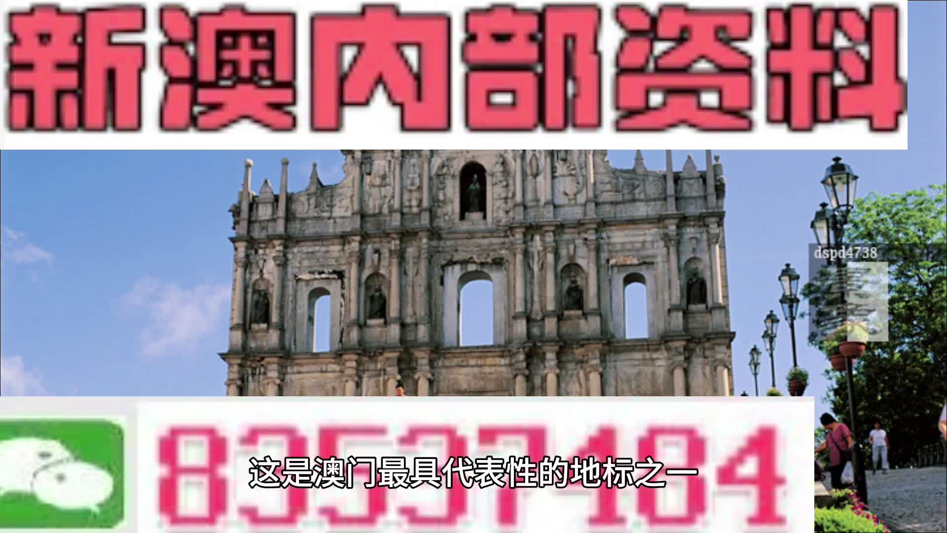 新澳门免费资料挂牌大全，新澳门免费资料挂牌大全，探索与解析