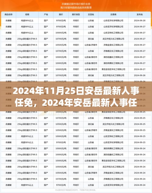 最新人事变动 ash29 新浪博客，最新人事变动，Ash29新浪博客的新篇章