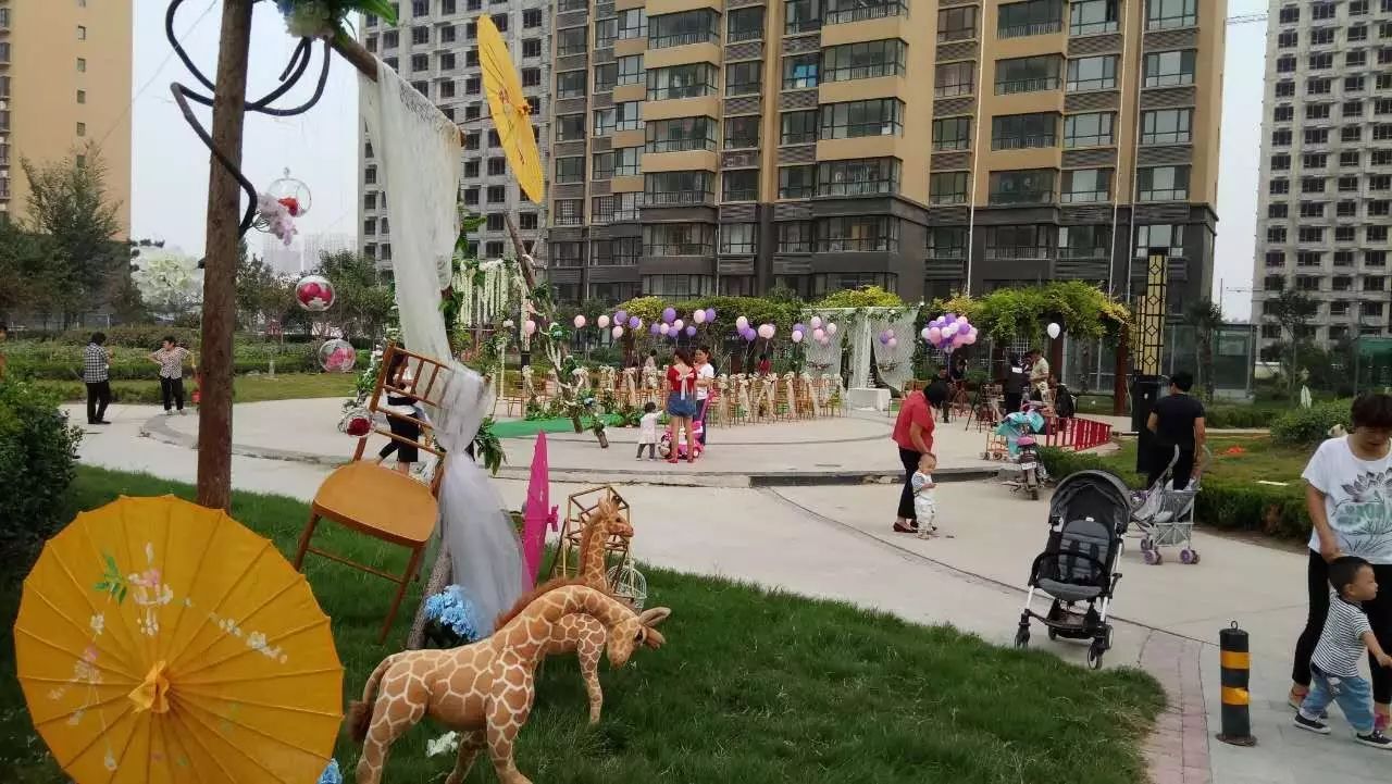 鄄城帝景首府最新房价，鄄城帝景首府最新房价动态分析