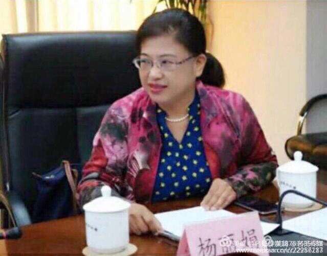 向正富杨清兰最新消息，向正富和杨清兰的最新消息，揭开未知的面纱
