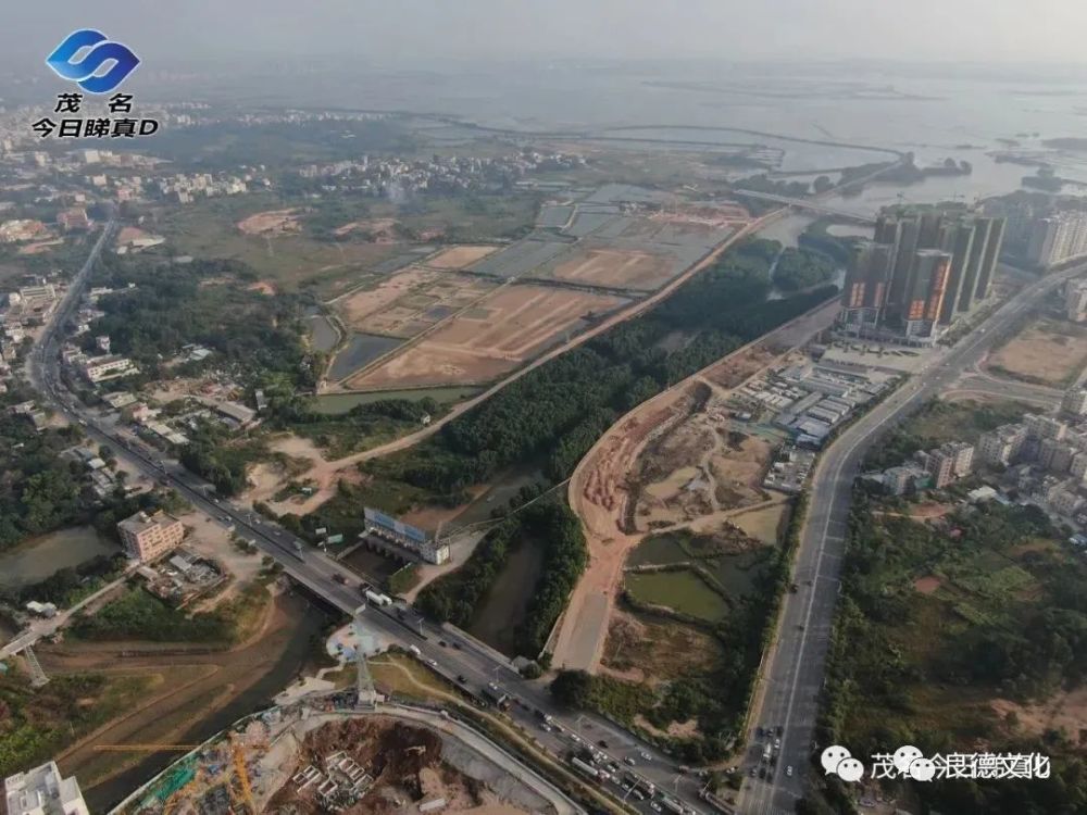 电白水东最新地皮信息，电白水东地区最新地皮信息详解