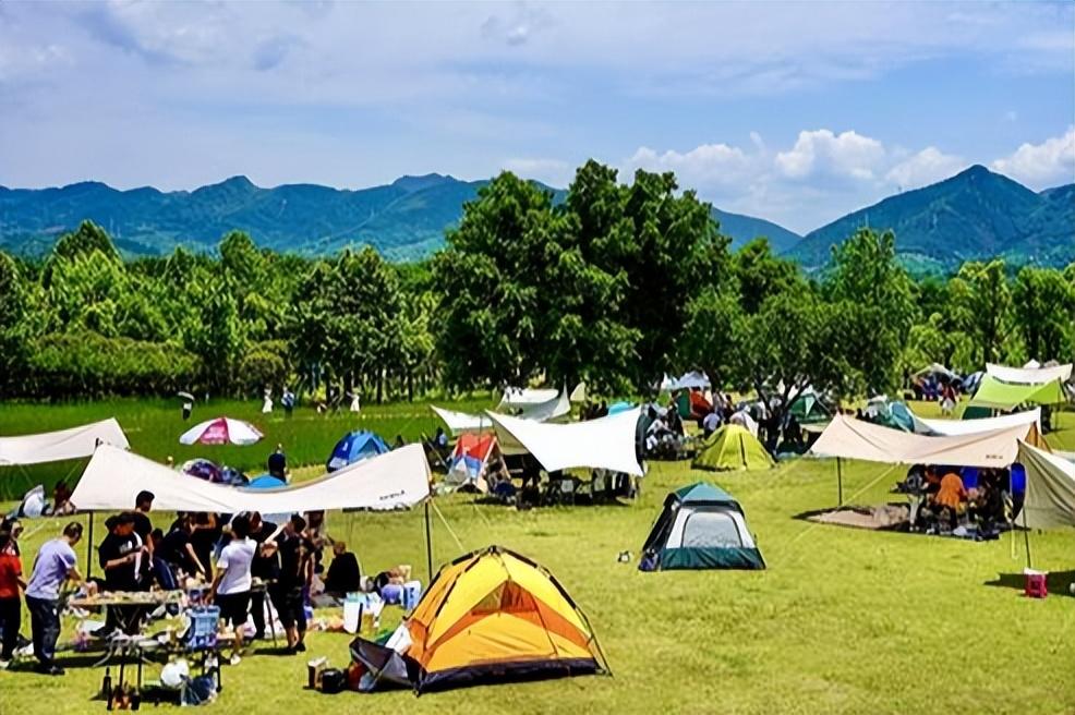 南川至两江新区高速最新消息，南川至两江新区高速最新消息深度解析