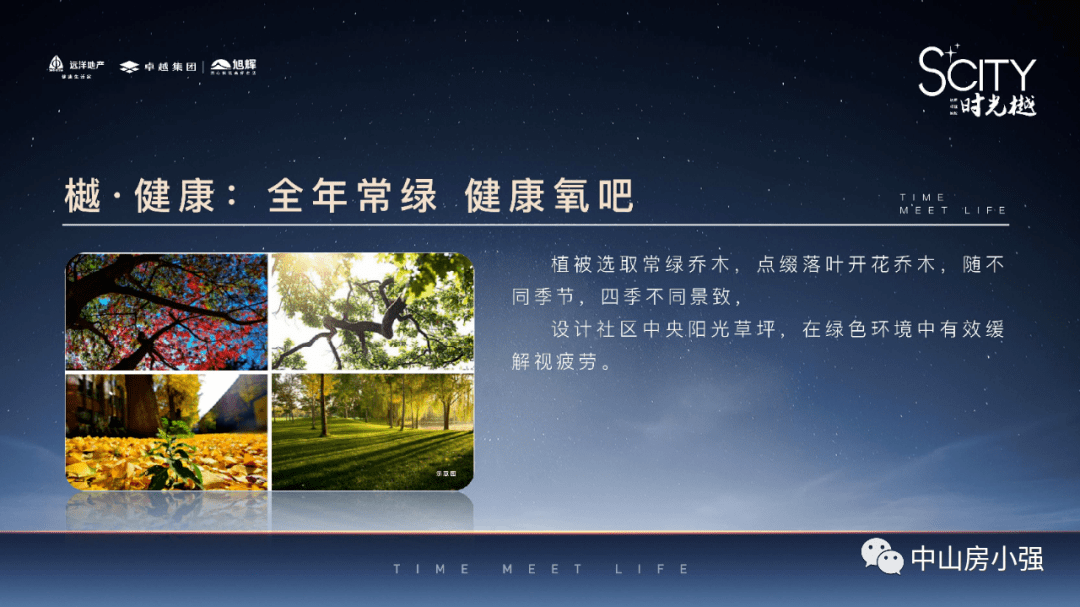 微山城市广场最新消息，微山城市广场最新消息深度解析