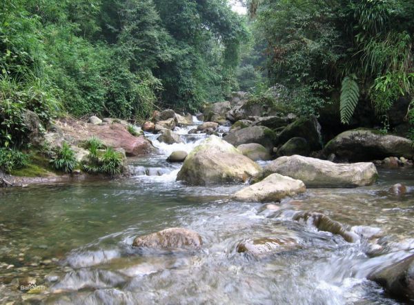 九龙沟风景区最新消息，九龙沟风景区最新消息