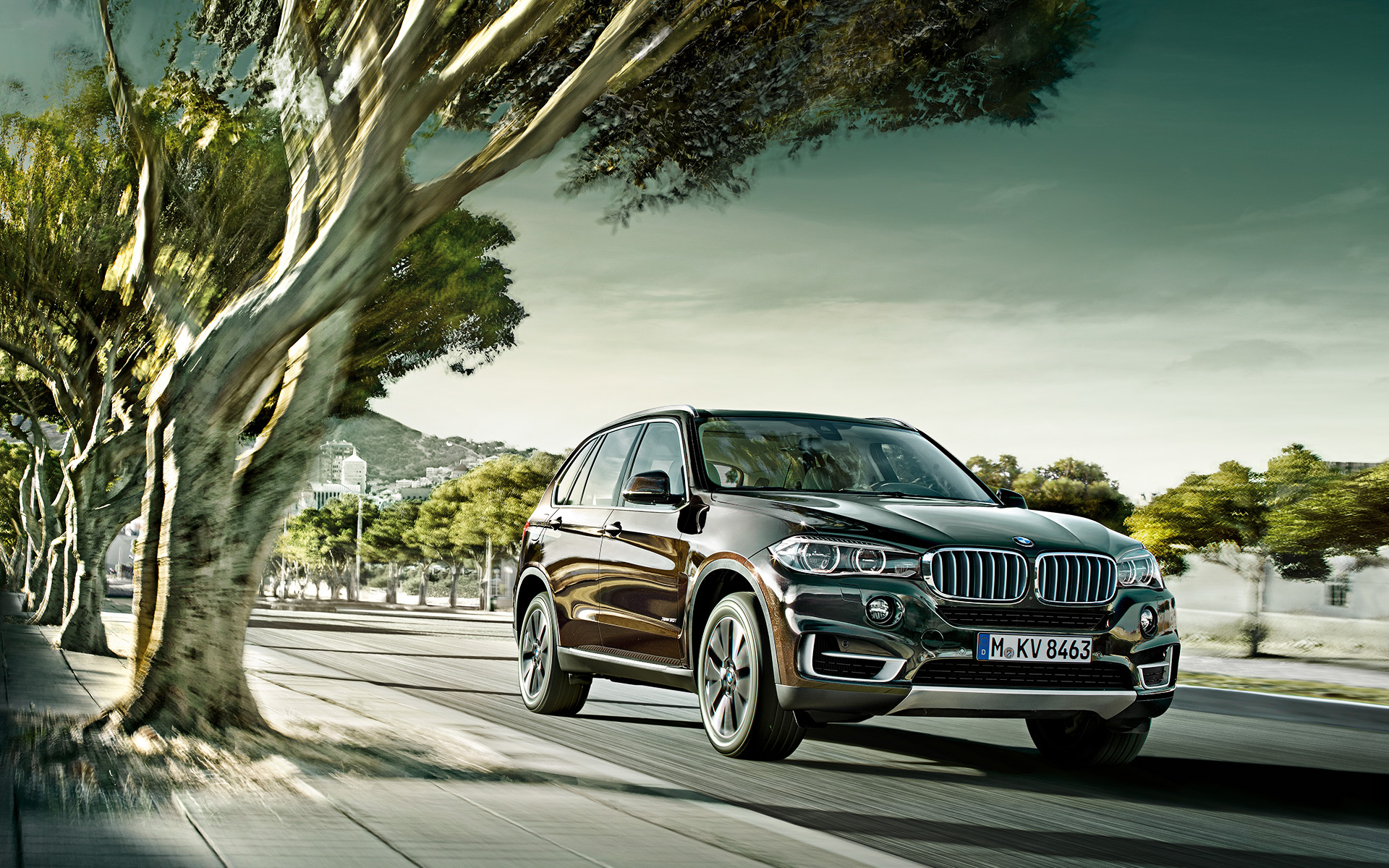 335li，探索与解析，关于BMW 335Li的全方位解读