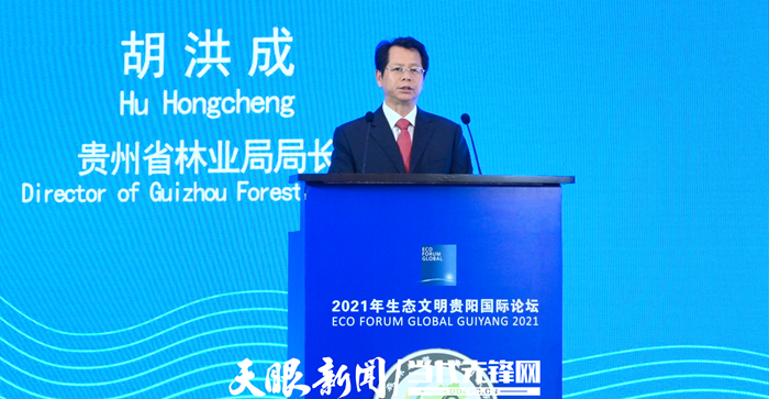胡洪成的最新消息，胡洪成的最新消息，探索前沿，引领未来