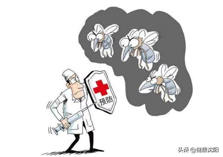 今曰台风最新消息，今日台风最新消息，影响广泛，需警惕防范