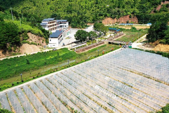 五华县潭下镇最新书记，五华县潭下镇最新书记——引领地方发展的杰出领导者