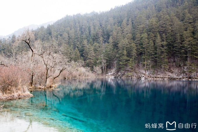 最新九寨沟旅游攻略，最新九寨沟旅游攻略
