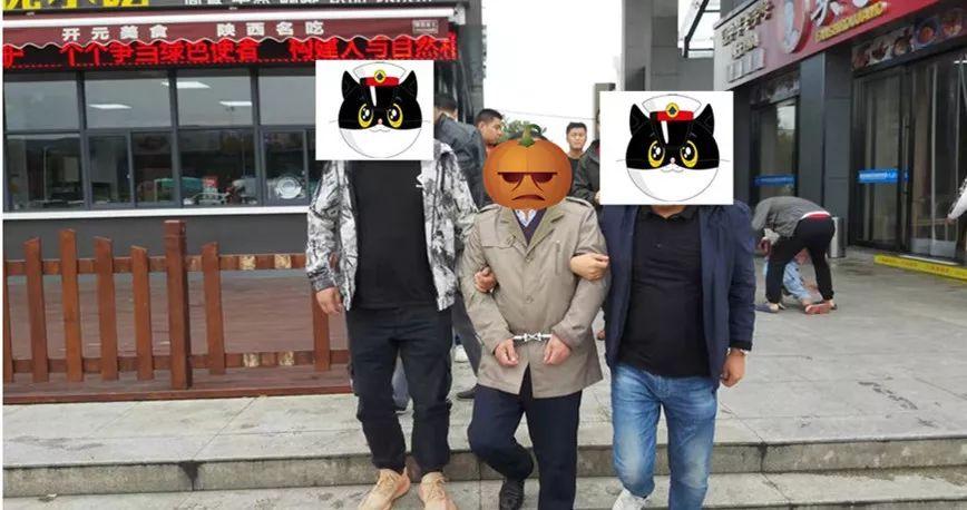 保千里官网最新消息，保千里官网最新消息深度解析