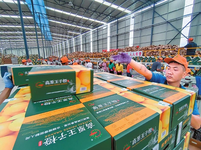 杰丰果业最新消息，杰丰果业最新消息，引领果业新时代，迈向更高峰