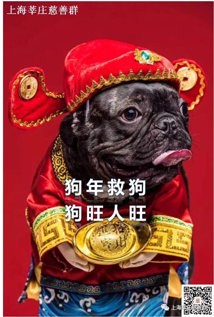 最新狗狗微信群二维码，最新狗狗微信群二维码，社交新领地，共享爱宠乐趣