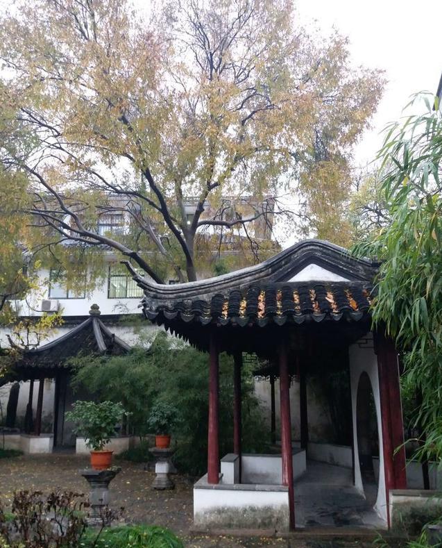 晋开四季城最新消息，晋开四季城最新消息全面解读