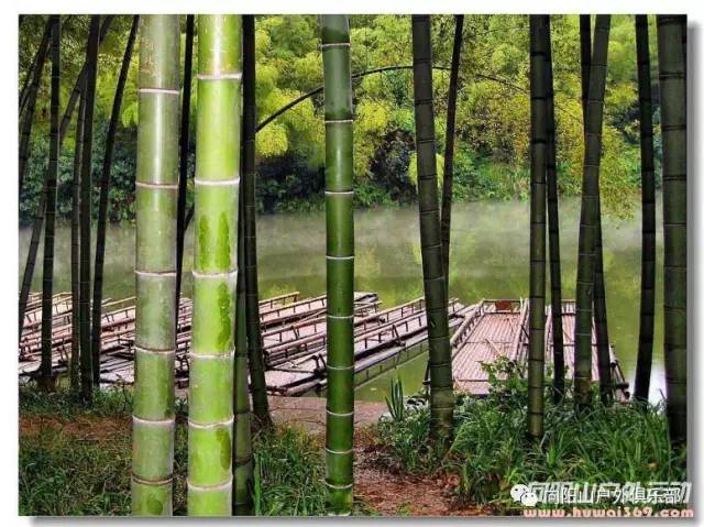 赤水招聘网最新招聘，赤水招聘网最新招聘动态深度解析