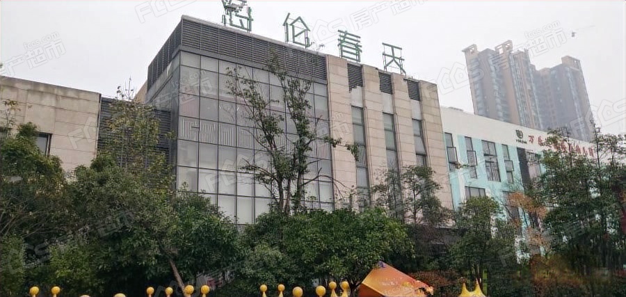 华阳海伦春天最新消息，华阳海伦春天最新消息深度解析