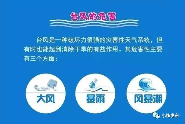 今年第8台风最新消息，今年第8号台风最新消息，全方位应对，保障安全
