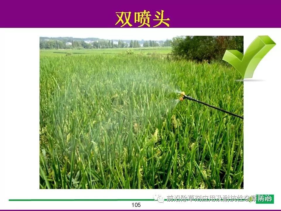 16年水稻最新除草剂，关于水稻种植中使用的最新除草剂，探索十六年来的发展与进步