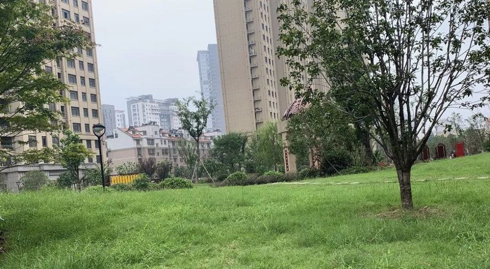 六安紫御府最新动态，六安紫御府最新动态，揭开未来居住的新篇章