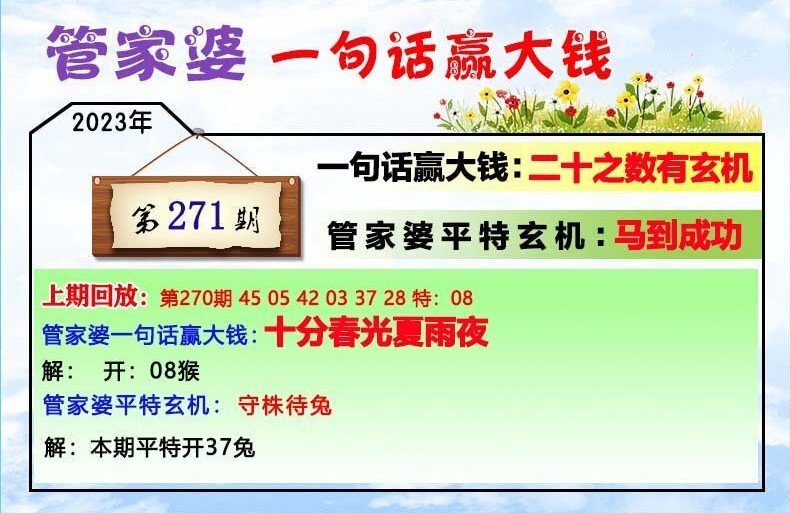 管家婆-肖一码最准一肖一码一一子中特7955，管家婆肖一码，揭秘精准预测的秘密与数字背后的故事