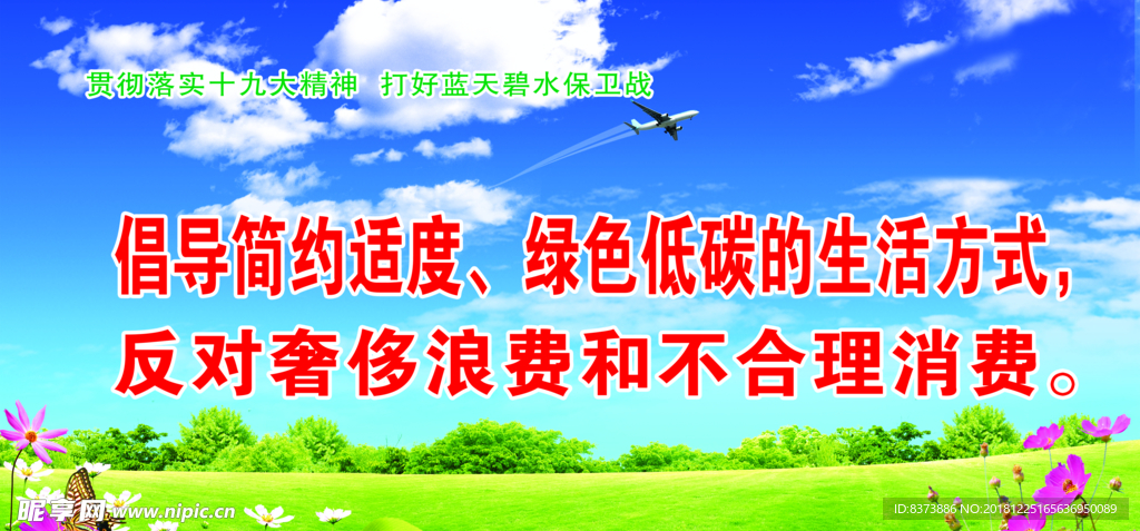 天天好采免费资料大全，天天好采免费资料大全，探索与收获