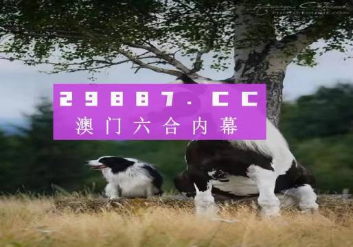澳门内部正版免费资料软件优势，澳门内部正版免费资料软件的优势及其影响