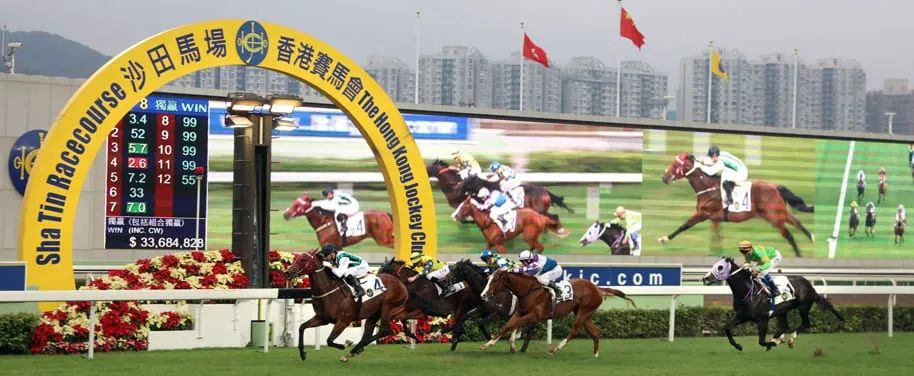 7777788888奥门跑跑马，探索澳门文化，77777与88888的跑跑马故事