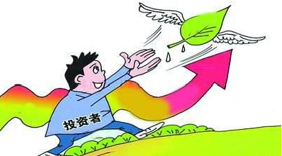 管家婆一肖一马一中一特，管家婆一肖一马一中一特，揭秘神秘命运学说的魅力与真相
