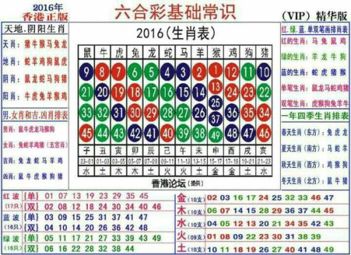 2025十二生肖49码表，揭秘十二生肖与数字密码，独特的2025十二生肖49码表