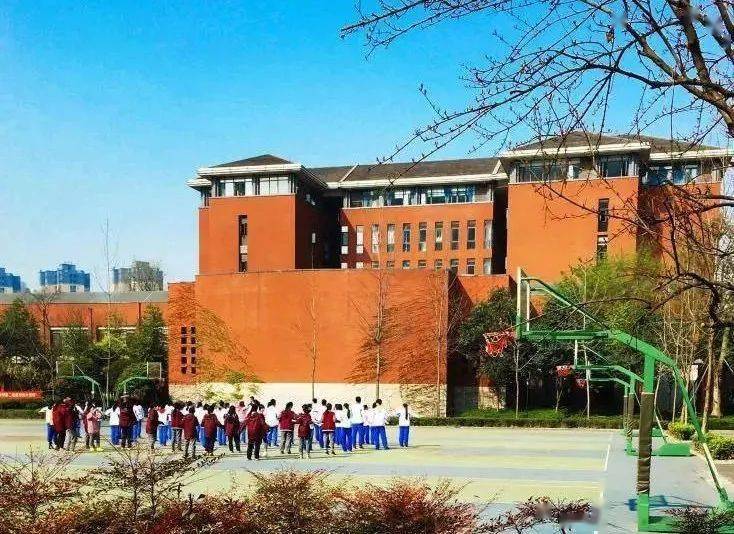 四不像中特图2025年27期图片，揭秘四不像中特图，2025年27期图片的独特魅力