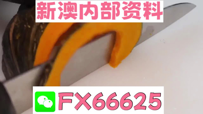 新澳门精准资料大全管家婆料，新澳门精准资料大全与管家婆料，探索与解析