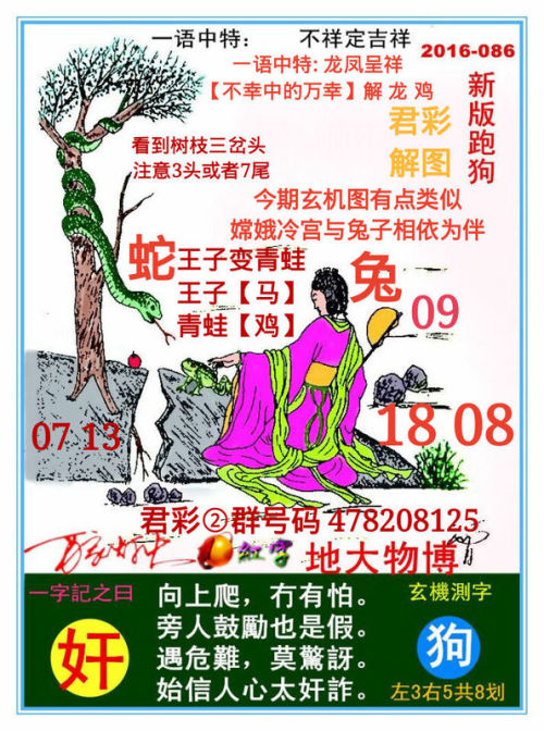 跑狗图993994www跑狗，跑狗图，一种独特的文化现象与公众娱乐方式