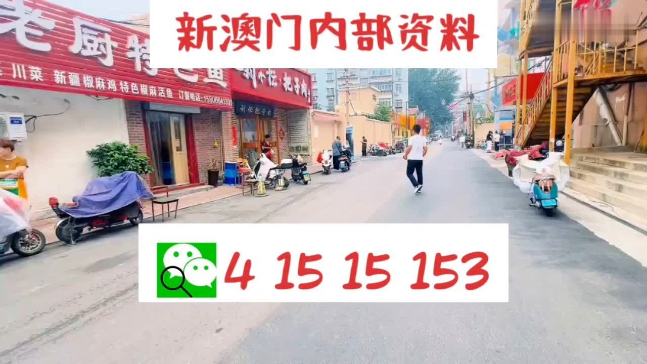 新澳门天天开好彩大全512，新澳门天天开好彩大全，探索与体验彩票的魅力