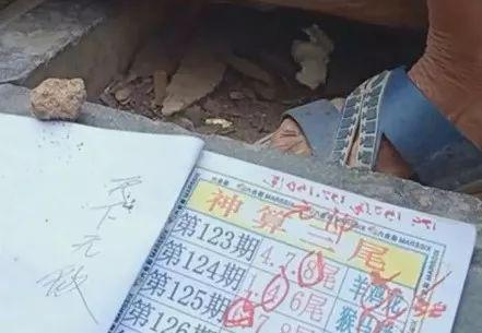 2025六开彩资料免费大全，关于六开彩资料免费大全的文章