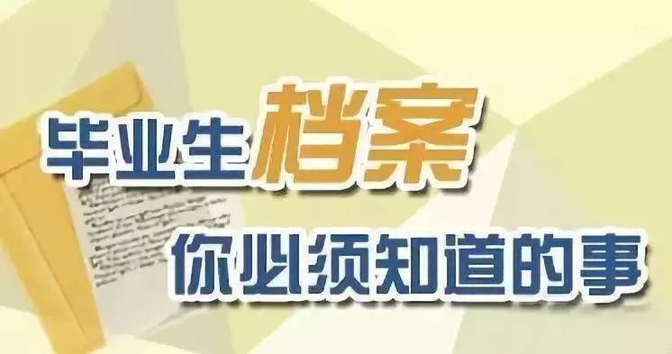 新奥门管家免费资料大全，新澳门管家免费资料大全，探索与解析