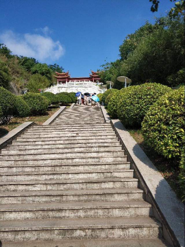 刘伯温精准三期内必开196，刘伯温精准三期内的奥秘，揭秘数字196背后的故事