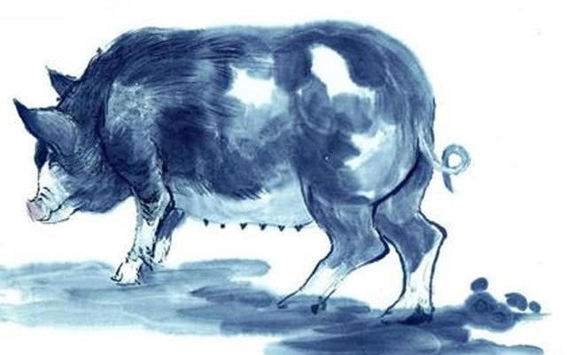 四不像今晚必中一肖，四不像今晚必中一肖——探寻神秘生肖的魅力与预测背后的逻辑
