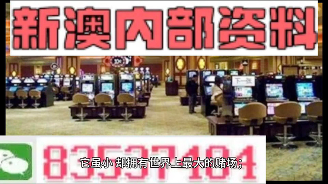 2025澳门正版精准资料大全，澳门正版精准资料大全——探索未来的蓝图（2025展望）