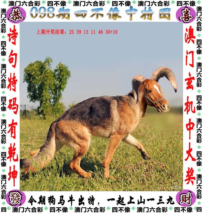 澳门凤凰版四不像是什么意思，澳门凤凰版四不像的深入解读