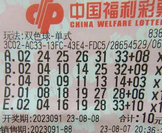 2025白小姐开奖结果今晚开奖，2025白小姐开奖结果揭晓，今晚开奖的奥秘与期待