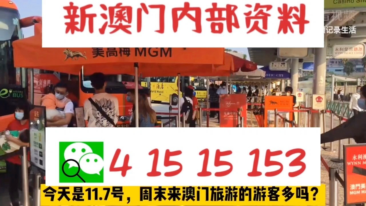 新澳门一码中中特，新澳门一码中中特，探索、发展与展望