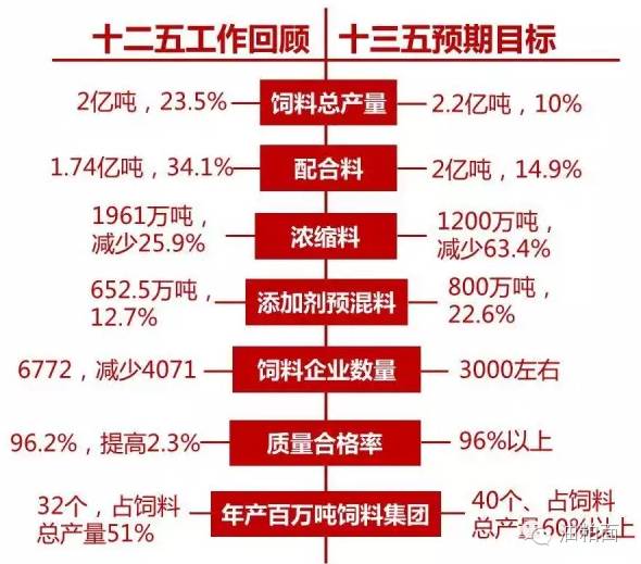 2025新澳天天彩免费资料大全查询，探索未来财富之路，2025新澳天天彩免费资料大全查询