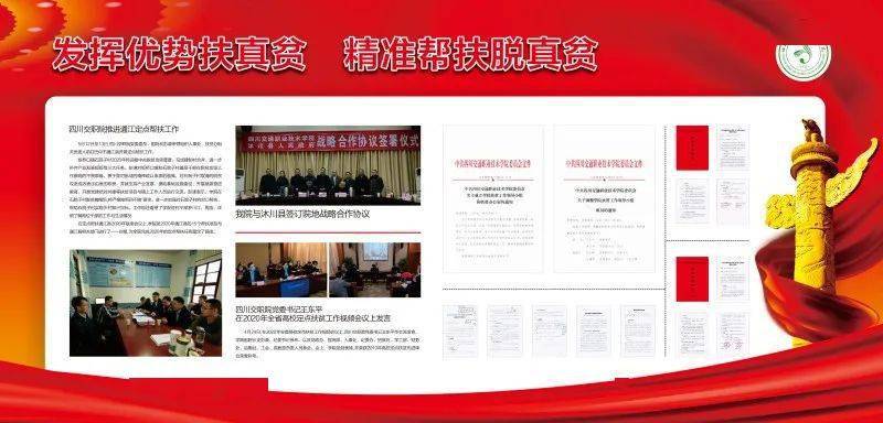 2025新奥门资料大全正版资料，2025新澳门正版资料大全——探索与解读