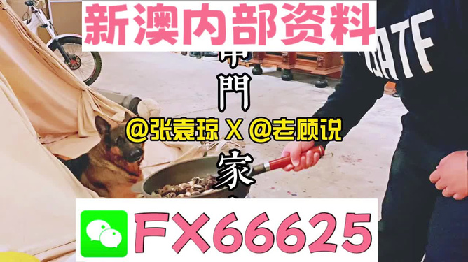 2023澳门管家婆资料大全免费，澳门管家婆资料大全，探索2023年免费资源的新篇章