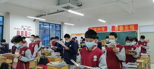 二四六天天彩资料大全网，二四六天天彩资料大全网，探索与解析