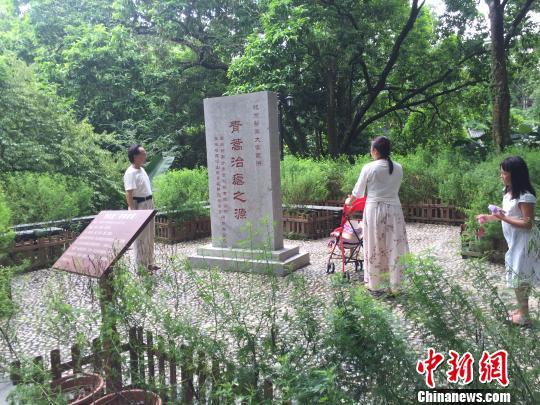 黄大仙全年资料大全，黄大仙全年资料大全，信仰、历史与传承的丰富内涵