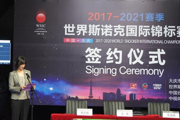 王中王一肖一特一中一澳，王中王一肖一特一中一澳，探索多元领域的杰出成就