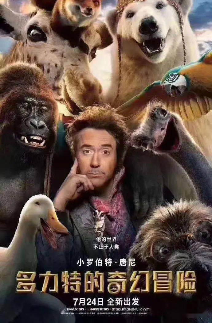 白小姐正版四不像中特小说，白小姐正版四不像中特小说，奇幻冒险之旅