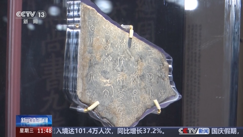 澳门正版资料大全免费歇后语，澳门正版资料大全免费歇后语——探寻传统文化中的智慧结晶
