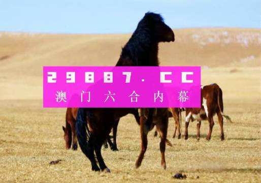 993994www跑狗玄机，揭秘993994WWW跑狗玄机，探索背后的真相与秘密