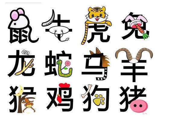 十二生肖与2025年之49个码，十二生肖与2025年之49个码，探寻文化交融与数字背后的奥秘